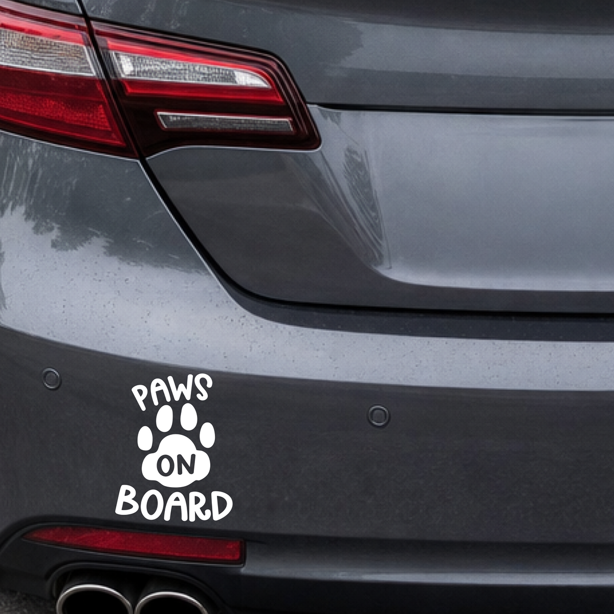 Paws on board 03