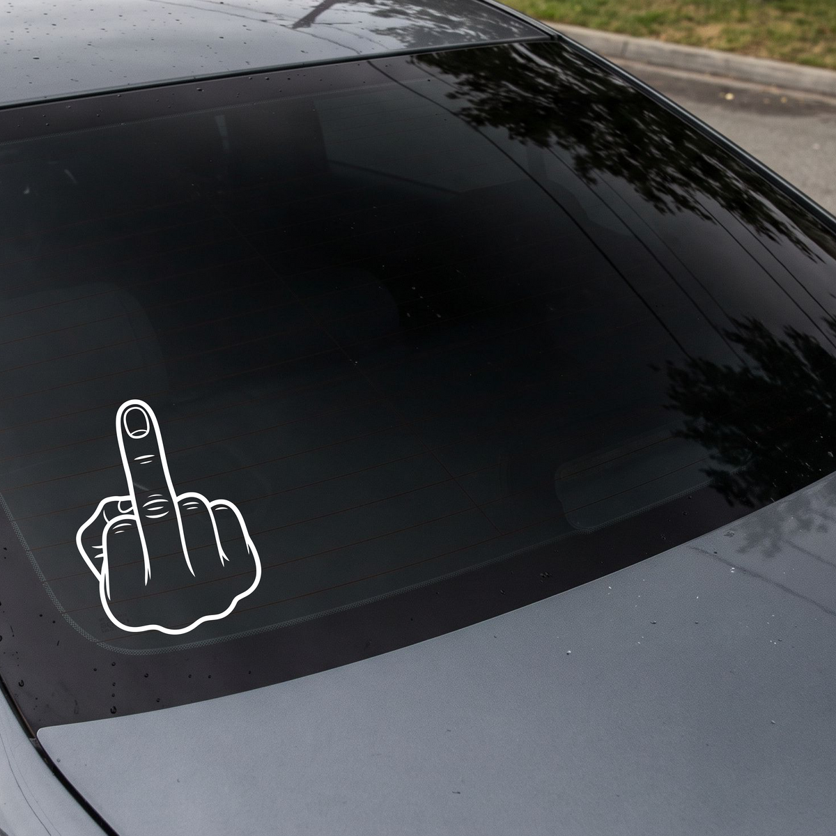 Middle finger 04