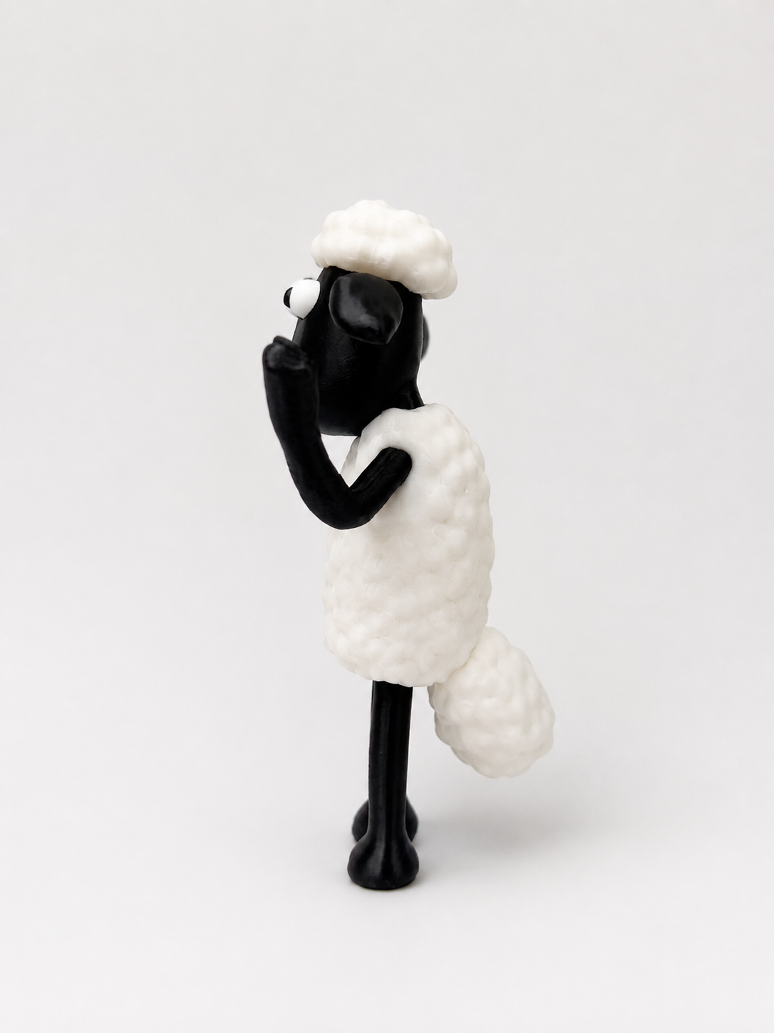 Sheep model