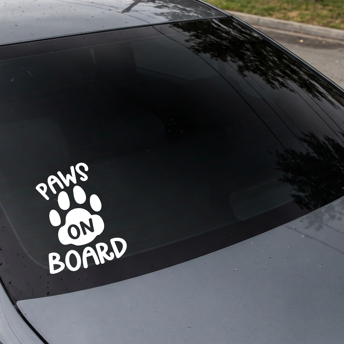 Paws on board 03