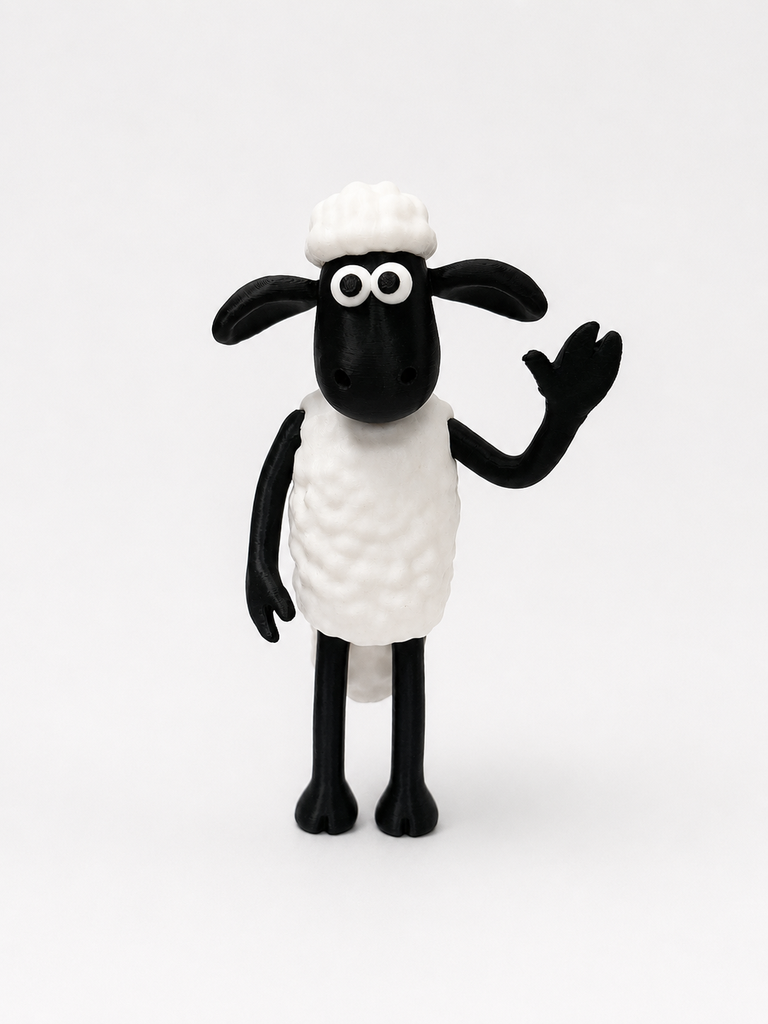 Sheep model