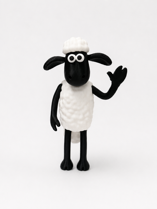 Sheep model